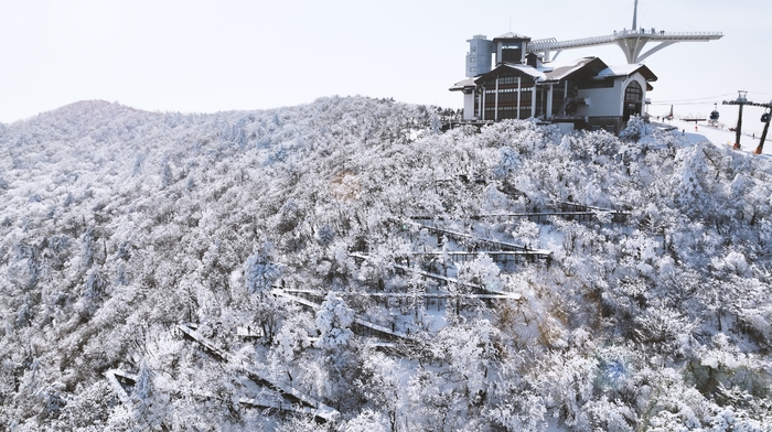 발왕산 천년주목숲길