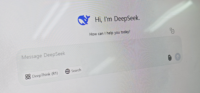 딥시크 접속 후 뜨는 첫 화면. 사진=박규빈 기자