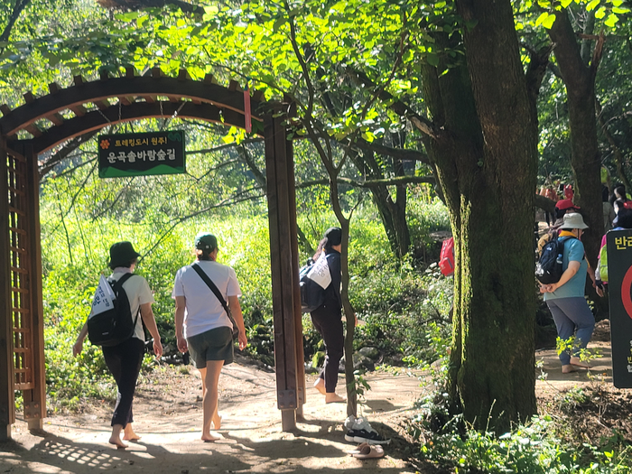 운곡솔바람숲길 맨발걷기