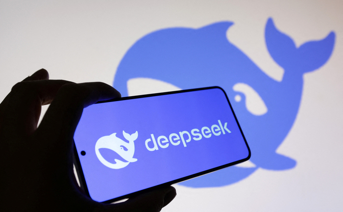 DEEPSEEK-MARKETS/