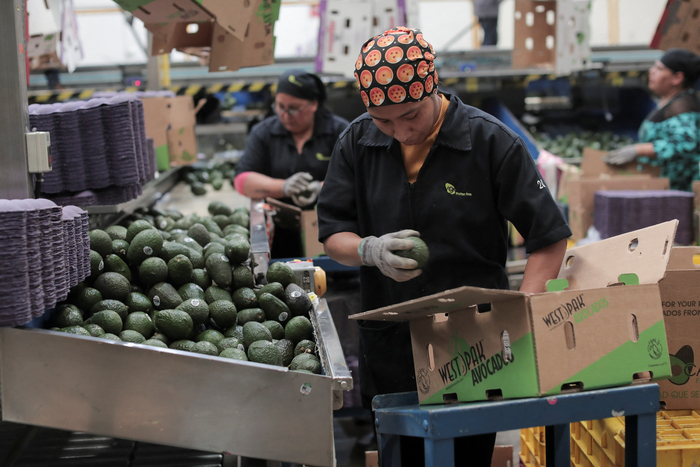 USA-TRUMP/TARIFFS-MEXICO