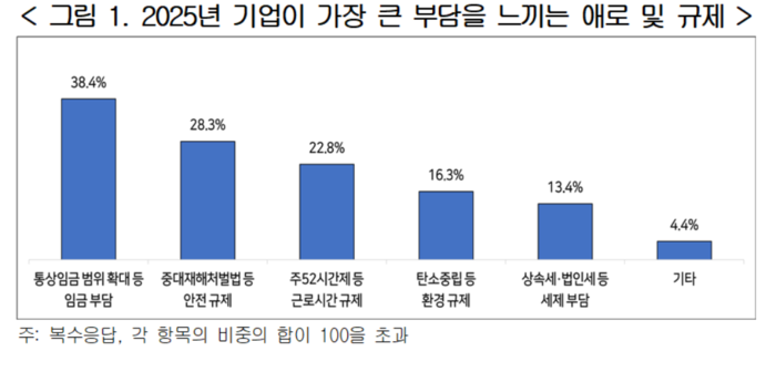 2025년 기업이 가장 큰 부담을 느끼는 애로 및 규제