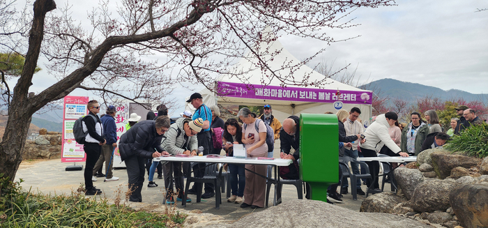 제24회 광양매화축제, 야속한 개화율...아쉬움 속 폐막