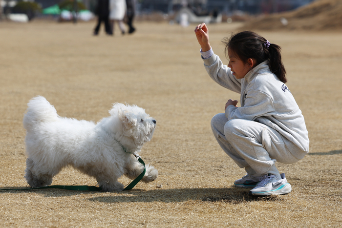 강아지와 봄나들이