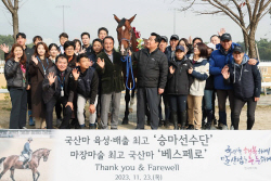 한국마사회, K승용馬 가능성 입증 ‘베스페로’ 환송식 눈길