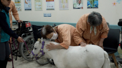 렛츠런파크 부산경남 ‘馬과 사람이 모두 행복한 세상’ 사회공헌 활동