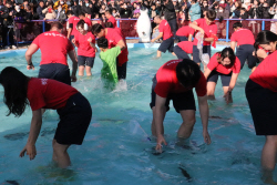 평창송어축제 개막…송어 온 몸으로 느껴