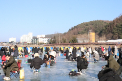 평창송어축제, 개막 첫 날부터 북새통 이뤄