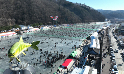 화천산천어축제, 14년간 이어온 