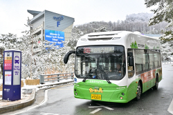 정선군 와와버스, 강원2024 기간 무료 운행