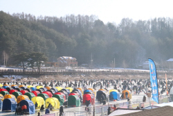 평창송어축제, 군민 무료체험 이벤트