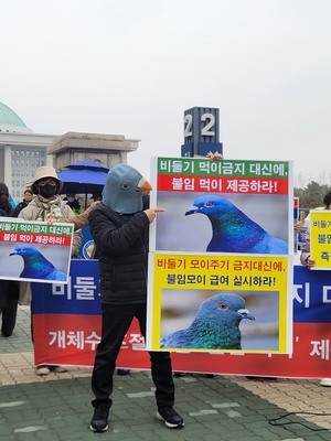 ‘불임모이’ 먹인 비둘기 개체수 55% 줄었다…“먹이금지 대신 불임모이 제공”