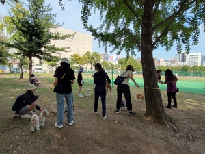 과천시 ‘반려동물 놀이터’ 내년 10월 개장…450㎥ 규모