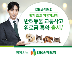 반려견 동승해 운전하다 사고나면?…DB·악사손보, ‘반려동물 사고 위로금’ 특약 선봬