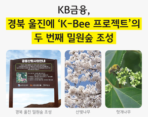 KB금융, 경북 울진에 ‘K-Bee 프로젝트’ 두번째 밀원숲 조성