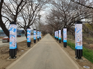 김포시, 계양천 경관조명 설치…‘벚꽃터널’ 황홀