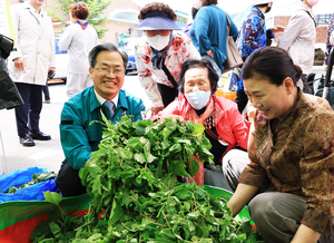 ‘제19회 영양 산나물축제’ 미리보기