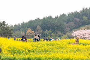 완도군, 청산도 슬로걷기 축제 3만3천명 다녀가