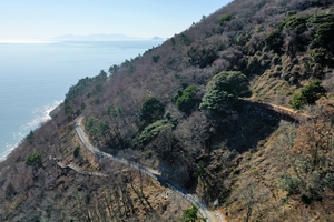 완도 고금면·약산면, ‘숲 경관 복원’ 본격 착수