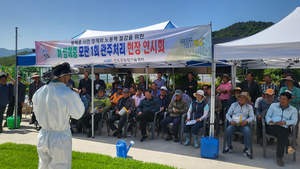 진도군, ‘모판 관주처리’ 시범사업 연시회 개최