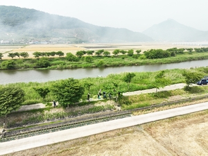 보성군, 수목 전지작업 추진···천년 분재거리 조성 목표