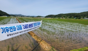 도 농기원, 메탄 감축을 위한 ‘빠르미’ 벼 품종···우수성 인증