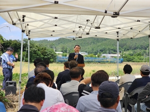 강진군, 국산 사료용 ‘당찬’ 밀 현장평가회 개최