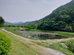 용인시, 반딧불이 서식처 복원에 ‘박차’...식생 환경 조사 착수