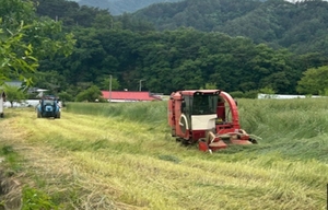 정선군, 조사료 사일리지 제조비 지원