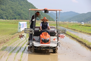 해남군, ‘장립종 쌀’ 국내 재배 본격화