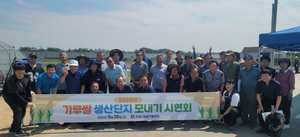 안성시, 가루쌀 ‘바로미2’ 첫 모내기 시연회 개최