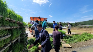 포항시, 가루쌀 전문생산단지 첫 모내기로 식량산업 경쟁력 강화 도모
