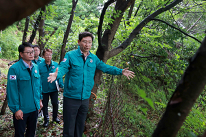 이상일 “집중호우 대비, 배수시설 설치 등 지시”