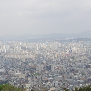 부동산 정책 실패에 고삐 풀린 서울 아파트값, 앞으로 어떻게 될까?