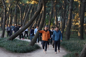 송도 솔밭 도시숲-포항 철길숲, 아름다운 도시숲 50선에 선정