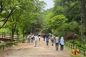 안양시, 관악수목원 9일간 개방…한국-인도 교류전 기념