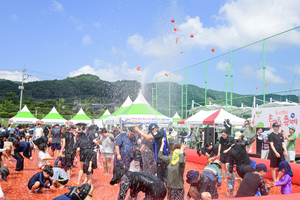 횡성둔내고랭지 토마토축제, 9일 개막