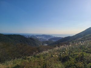 국립부산승학산치유의숲, 8월 13일부터 시범개장… 건강 프로그램 무료 제공