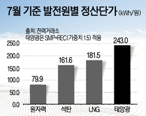 [이슈분석] 폭염 속 태양광발전 증가, 피크부담 낮췄지만 비용부담 되레 커져