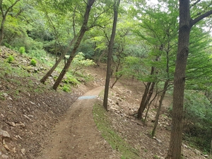 강진군, 보은산 등산로 정비 완료…16km 트레킹길 조성 중