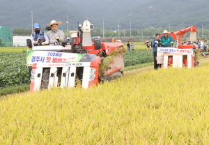 주낙영 경주시장, 첫 벼베기 행사 참여해 수확 기쁨 나눠