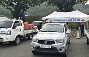 의성군, 의성마늘목장 사료용 한지형 마늘 2차 수매 실시