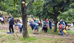 과천시 ‘밤줍기 행사’ 개최…참여시민 5천명 공모