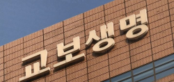 고령층 정조준한 교보생명...사업 다각화로 성장동력 ‘시동’