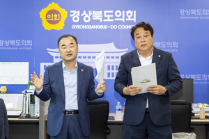 경북도의회, 가야고분군 통합관리기구 입지 선정 용역 결과에 강력 반발 – “김해시 선정, 타당성 전혀 없어”