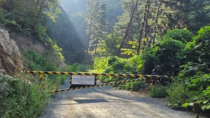 북부지방산림청, 추석 명절 전･후 국유 임도 2475km 개방