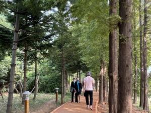 군산시, 71호 완충녹지 ‘맨발 걷기 황톳길’ 조성 완료