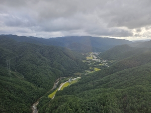 울진군, 소나무 재선충병 예찰 활동 강화