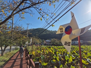 칠곡군 지천면 연화리, 작은마을에 나라사랑 태극기 물결