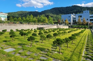 용인도시공사, 용인 평온의 숲 수목장 4위형 확대·운영 개시